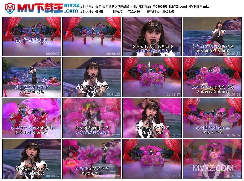 佚名-彼年的秋天(现场版)_台语_流行歌曲_MC500556